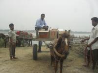DPO Tapan Borah arranges for  local transport, pony carts in this case