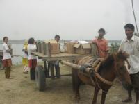 Medicines being loaded as the ANMs eagerly look on and helpscarriage of medicines..