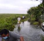 Jorhat Boat Clinic programe at Bhekeli Sapori, Kartik sapori, Kathsapori, Kachikota, Baruahchuk, Kankurmukh Sapori of Majuli.